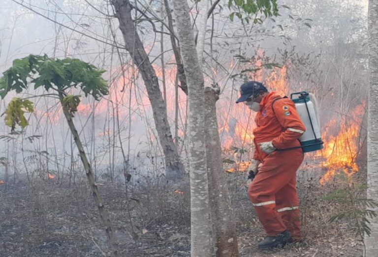 Llama Procivy a mantener la guardia en alto, para evitar aumento de incendios