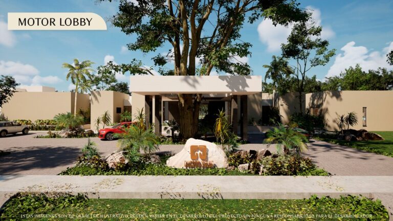La Visión de Andrés Millet González Impulsa el Crecimiento Económico de Yucatán