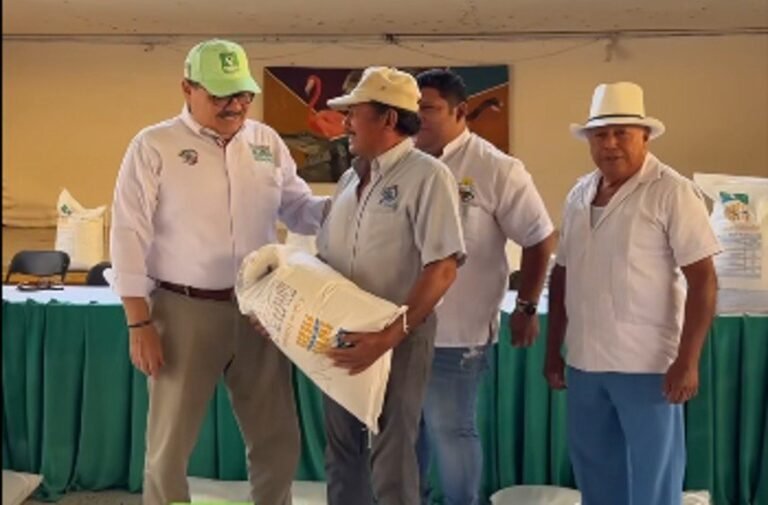 Defensa de las abejas; una lucha permanente y apolítica en Yucatán