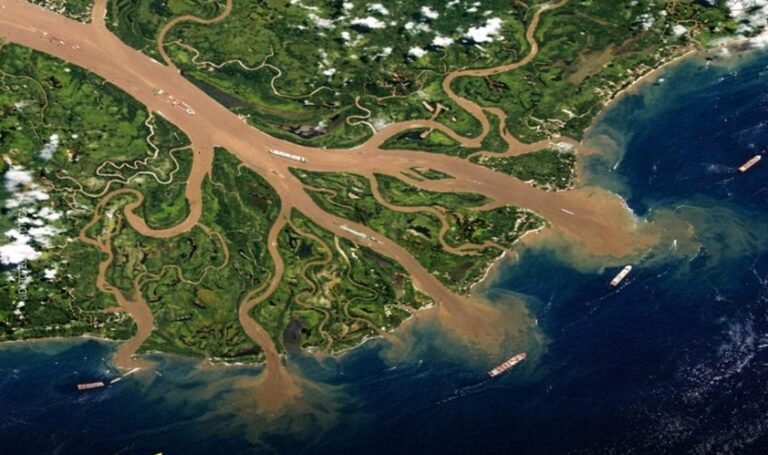 EL AMAZONAS: LA FUERZA INVISIBLE QUE ALIMENTA AL OCÉANO Y SOSTIENE EL PLANETA