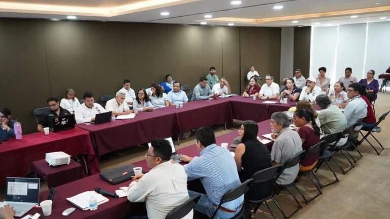 Buscan proteger la miel melipona de Yucatán con reconocimiento de origen