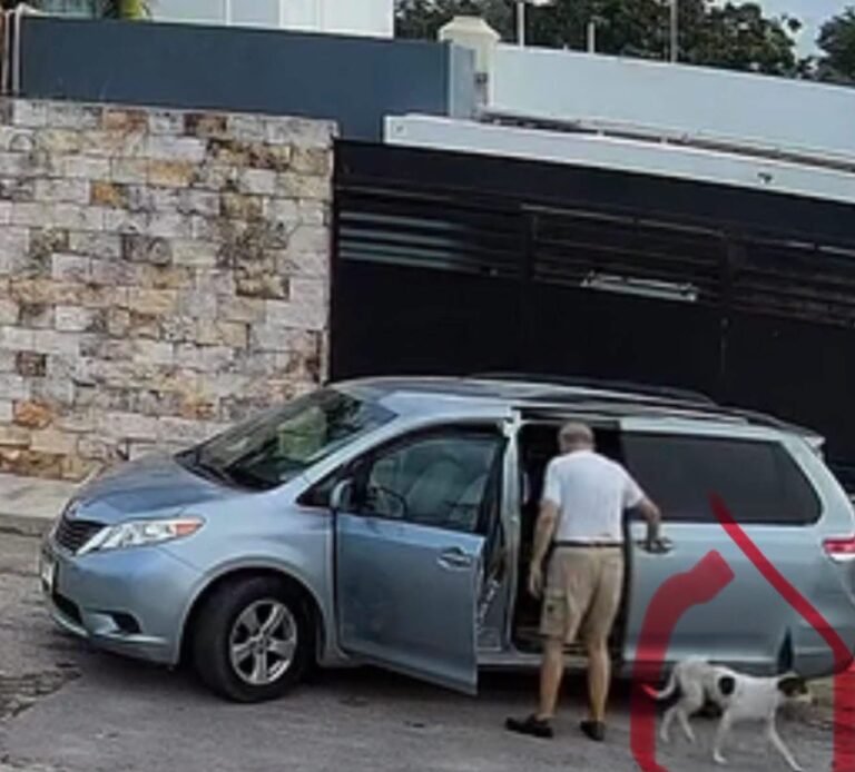 Indignación en Dzityá por presunto abandono de un perro; cámaras captan el momento