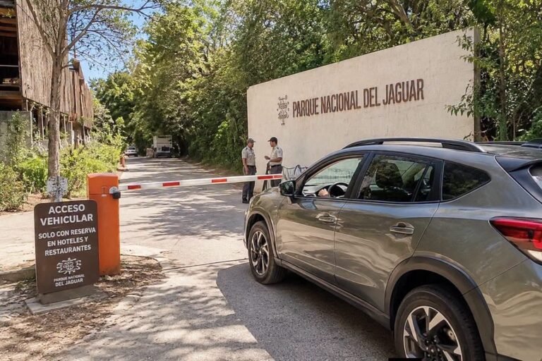 Acceso gratuito al Parque del Jaguar mantiene restricciones para automovilistas; sin reservación, no hay entrada vehicular