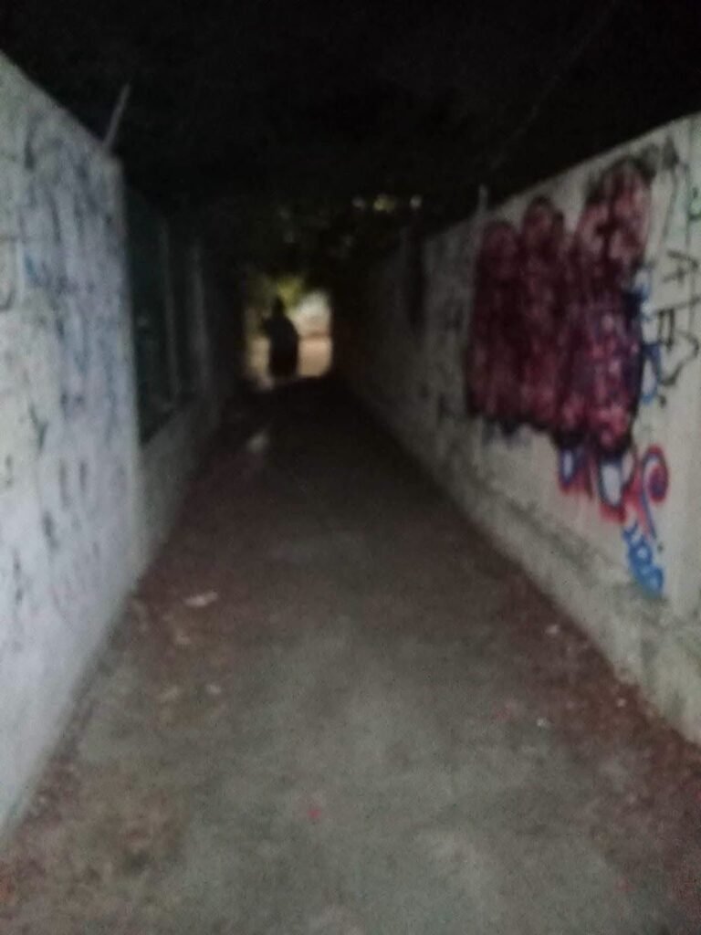Vecinos del Roble Agrícola exigen alumbrado ante creciente sensación de inseguridad