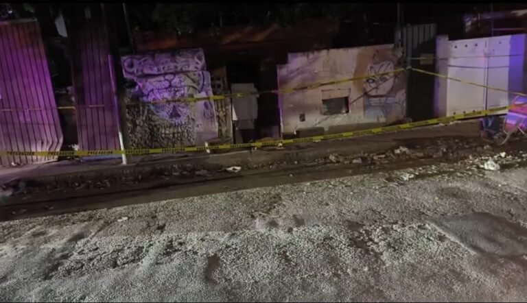 Investigan presunto envenenamiento masivo de perros en colonia de Mérida; vecinos piden castigo a responsables