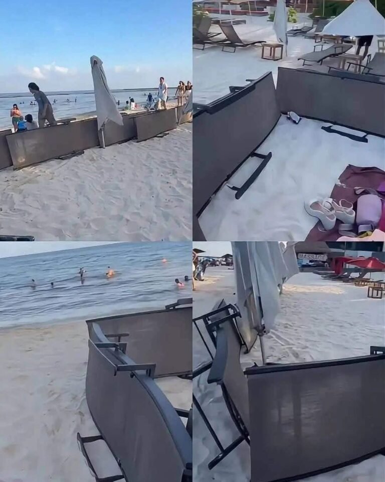 Ayuntamiento de Playa del Carmen frena intento de bloquear acceso a la playa; sancionan a club por obstruir el paso