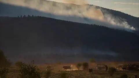 Voraz incendio arrasa comunidad indígena en Canadá y deja más de 200 viviendas destruidas