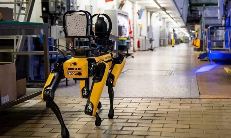 ICE busca gastar 2 millones de dólares en perros robot para operativos de riesgo