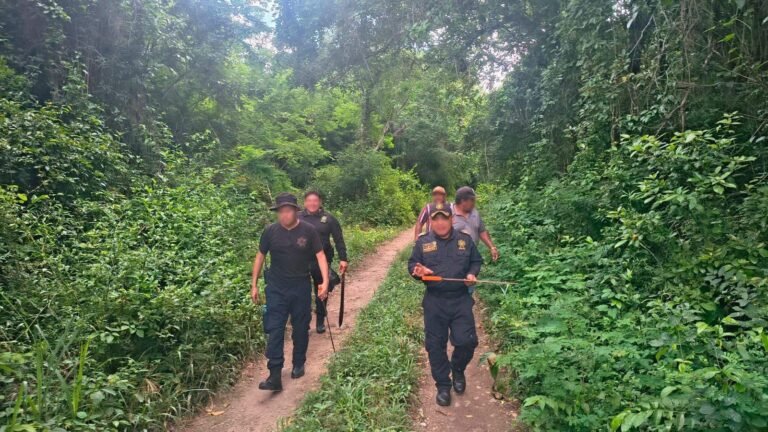 Rescatan a hombre de 84 años tras perderse en el monte de Tizimín