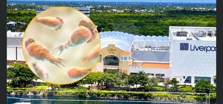 Muere en Mérida hombre de 34 años con diagnóstico probable de “ameba comecerebros”