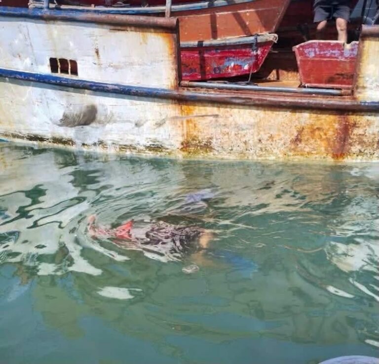 Encuentran a mujer de 62 años sin vida en el puerto de abrigo de Yucalpetén